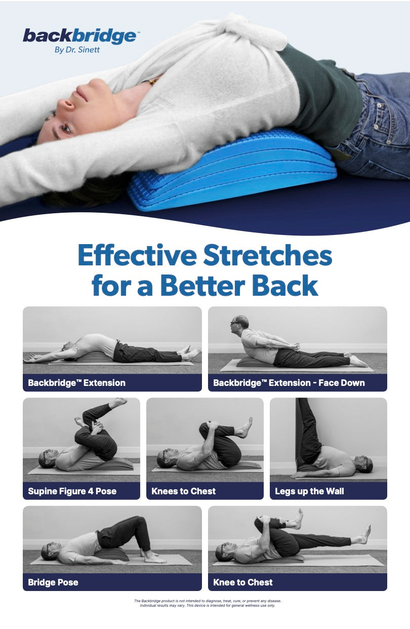 Backbridge + Sit-Ups Are Stupid &amp; Crunches are Crap