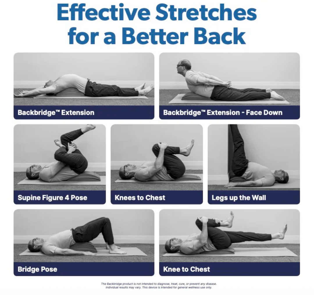 Backbridge + Sit-Ups Are Stupid &amp; Crunches are Crap