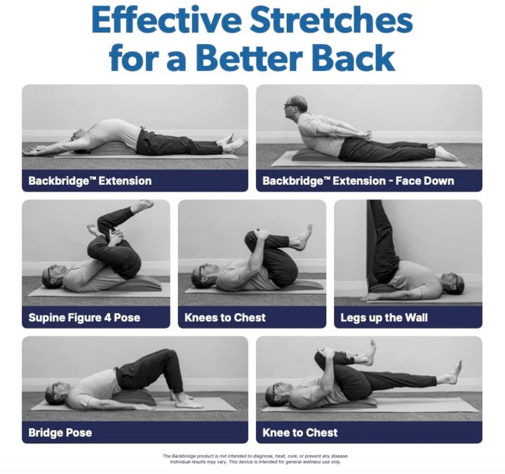 Backbridge + Sit-Ups Are Stupid &amp; Crunches are Crap